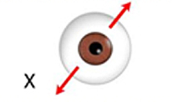 1D:眼球X軸水平移動 追蹤