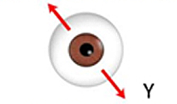 2D:眼球Y軸水平移動 追蹤