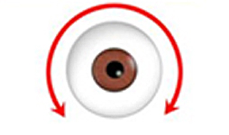 6D:眼球自旋轉動 追蹤