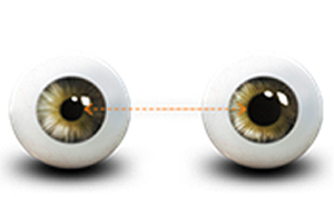 7D:瞳孔中心位移 追蹤